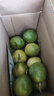 黄金百香果钦蜜9号新鲜当季现摘精选好果水果百香果鲜果酸甜可口 钦蜜9号黄金百香果 ＜40g小果 1斤 实拍图