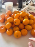 京鲜生 江西新余蜜桔 单果40-50mm 净重4.5斤【精选家庭装】源头直发 实拍图