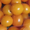京喜加夏日阳光小番茄黄色迷恋圣女果即食水果小柿子现摘现发减肥 黄色圣女果1斤装 实拍图