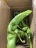 新鲜青尖椒超市生鲜蔬菜下饭菜虎皮尖椒鸡蛋伴侣 专享 2斤 含箱 实拍图