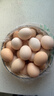 【无抗】大码鲜鸡蛋1.8kg 实拍图