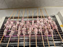 东来顺 内蒙古羔羊原切羊肉串400g (约20串) BBQ烧烤 清真中华老字号 实拍图