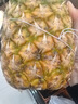 佳农 黑钻菠萝1粒装 巨无霸 菲律宾凤梨 净重3.6斤 生鲜水果 包邮 实拍图