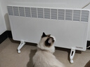 西狄亚（CYTHA）欧洲进口静音节能家用取暖器壁挂式落地式电暖器全屋升温电暖气片大面积采暖 C16-2500W（适用≤25㎡） 16A三项插头 实拍图
