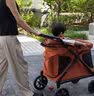 法米多【官方豪礼】Q1童车婴儿推车家用欧式大座舱 桔色 实拍图