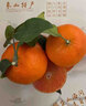 象山红美人 象山红美人【JD顺丰-多地隔日达】新鲜果冻橙红美人柑橘水果礼盒 精选级红美人丨15枚 单果约150g+ 【自吃推荐-锁鲜装】颗颗甄选 实拍图