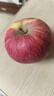 京鲜生 新疆阿克苏苹果 净重5斤装 果径85-90mm 新鲜水果 实拍图