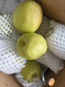 京鲜生 新疆库尔勒香梨 净重10斤 特级 单果120g以上 生鲜水果 实拍图