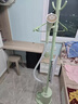 美的（Midea）【熨衣服神器】挂烫机家用挂式熨烫机/便携蒸汽机/手持小型电熨斗/服装店商用蒸汽熨斗/YGJ15L1 实拍图