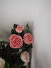 野派欧式复古保加利亚玫瑰仿真花束假花绢花客厅装饰陶瓷花瓶花艺摆件 单枝白色玫瑰 实拍图