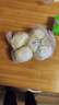 手工馒头老面大馒头早餐速食减肥健康发酵纯粮无添加 馒头 500g 5个装 实拍图