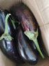 山东新鲜绿把紫皮长茄现摘现发新鲜嫩茄新鲜时令蔬菜生鲜 新鲜绿把紫茄 2斤 带箱 实拍图
