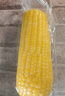 十月稻田 四平黄糯玉米 3.52斤(220g*8根)东北玉米棒 低脂早餐 零食 实拍图