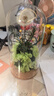 RoseBox蒲公英永生花摆件生日礼物儿童节高级送女生朋友毕业礼品老师同学 实拍图