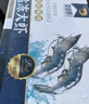 卖鱼郎先生青岛盐冻大虾净重3斤 15-20只/斤 白虾大虾基围虾生鲜 虾类 实拍图