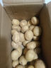 京喜加新鲜黄心土豆农家自种黄皮马铃薯黄心洋芋新鲜蔬菜 8斤 实拍图