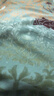 富安娜纯棉磨毛床上四件套 100%全棉加厚套件秋冬双人加大被套230*229cm 实拍图