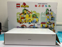 乐高（LEGO）积木拼装得宝10994 三合一梦幻小屋大颗粒积木桌儿童玩具生日礼物 实拍图