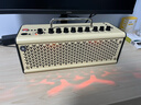 雅马哈（YAMAHA）THR10II  乐器智能音箱 电吉他 木吉它 贝斯  吉他音响户外便携款 实拍图