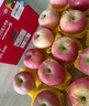 佳农 烟台红富士苹果 净重4.8斤 单果重约200g+ 生鲜水果礼盒 实拍图