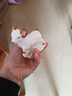 fw创意陶瓷工艺品12十二生肖摆件动物属相客厅房间玄关桌面摆设瓷器小号羊家居装饰工艺品 白瓷彩绘羊小号 实拍图