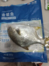 翔泰 海南金鲳鱼净重900g 2条装  鱼类生鲜 火锅食材 海鲜水产  实拍图