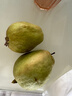 京鲜生 广西红心芭乐 净重3斤单果130g起 番石榴 生鲜水果源头直发 实拍图