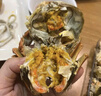 【活蟹】湖鲜阳澄大闸蟹公3.8-4.1两 母2.8-3.1两4对8只现货特大鲜活螃蟹礼盒源头直发 实拍图