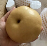 山姆大叔 山东莱阳秋月梨【闪送-多地次日达】冰糖梨子水果礼盒中秋送礼品 【羊脂级-稀缺巨无霸】单果450g+｜纯甜多汁 5斤装【超值推荐-80%选择】净4.5 实拍图