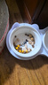 licheers猫碗陶瓷猫粮双碗斜口不黑下巴宠物幼猫咪吃饭食盆喝水喂食一体 实拍图