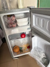 志高（CHIGO）小冰箱迷你小型家用冷藏冷冻两用宿舍出租房用双门办公室电冰箱节能省电 【一级能效】48L金色【三天约一度电】 实拍图
