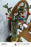 【带根富贵竹转运竹龙竹】招财水培植物客厅弯竹开运竹子盆栽花卉 60-65cm转运竹--6支 送3灯笼 实拍图