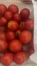 千禧圣女果新鲜小番茄樱桃小柿子孕妇水果现摘现发新鲜蔬菜 新鲜圣女果 5斤 带箱 实拍图