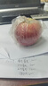 桃李村正宗冰糖心苹果 时令生鲜水果红富士脆甜丑苹果年货礼品整箱 带箱5斤 净重4.5斤 精选单果70-90mm 实拍图