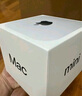 Apple/苹果AI电脑/Mac mini迷你主机 M4银色(10+10核) 16G 256G台式电脑主机 MU9D3CH/A 实拍图