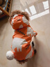华元宠具（hoopet）狗狗衣服冬天保暖四脚羽绒服宠物小型犬比熊柯基棉服泰迪冬季衣服 【加厚加绒】四脚棉服 橘 M：背长29cm【建议5-7斤】 实拍图