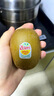 佳沛（zespri）新西兰阳光金果6个装巨大果单果144-175g水果猕猴桃源头直发 实拍图