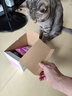 伟嘉猫罐头 湿粮包猫零食进口成猫猫粮主食妙鲜包85g*12混合味 实拍图