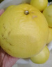 京鲜生 爆汁黄金葡萄柚 精选6粒  单果400g-550g  生鲜水果礼盒 实拍图