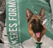 凯锐思 德牧专用狗粮 幼犬成犬大型犬黑背警犬狼狗 10kg 实拍图