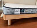 雅兰品牌前十名天然乳胶床垫椰棕垫席梦思弹簧床垫子硬垫  梦寐 梦寐15CM【舒适护脊】 1.2x2米 实拍图
