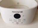 九阳（Joyoung）电炖盅 电炖锅 隔水炖煮 家用煮粥煲汤锅燕窝炖盅4.5L白瓷内胆炖汤锅上蒸下炖DG25G-GD188 实拍图