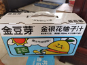 金豆芽金银花柚子汁儿童果汁饮品送礼盒装西柚汁饮料100ml*13袋 实拍图