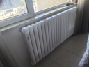 金旗舰暖气片家用钢制水暖壁挂式全屋暖气定制集中供暖自采暖立式散热器 防腐金刚60F-高600mm 6分口 实拍图