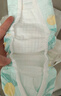 好奇（Huggies）小森林纸尿裤M50片(6-11kg)尿不湿心钻【透氧顶配更低敏】 实拍图