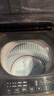 海尔（Haier）波轮洗衣机小型全自动8KG家用XQB80-Z10D0京东自营家电国家补贴以旧换新一级能效宿舍出租房单脱水 实拍图