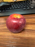 京鲜生 新西兰皇后红玫瑰苹果12粒礼盒特级果单果130-170g 水果礼盒 实拍图