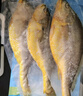海名威宁德三去大黄鱼 对半厚切黄花鱼 净重2斤/3片装 海鲜 生鲜鱼类  实拍图