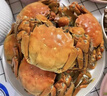 【活蟹】湖鲜阳澄大闸蟹全母3.0-3.3两8只去绳足重现货鲜活送礼螃蟹海鲜礼盒装源头直发 实拍图