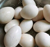 百世富泽（BAISHIFUZE）【百世富泽】黄河滩大鹅蛋新鲜正宗土鹅蛋农家自养孕妇超大鹅蛋 12枚130-150克 实拍图